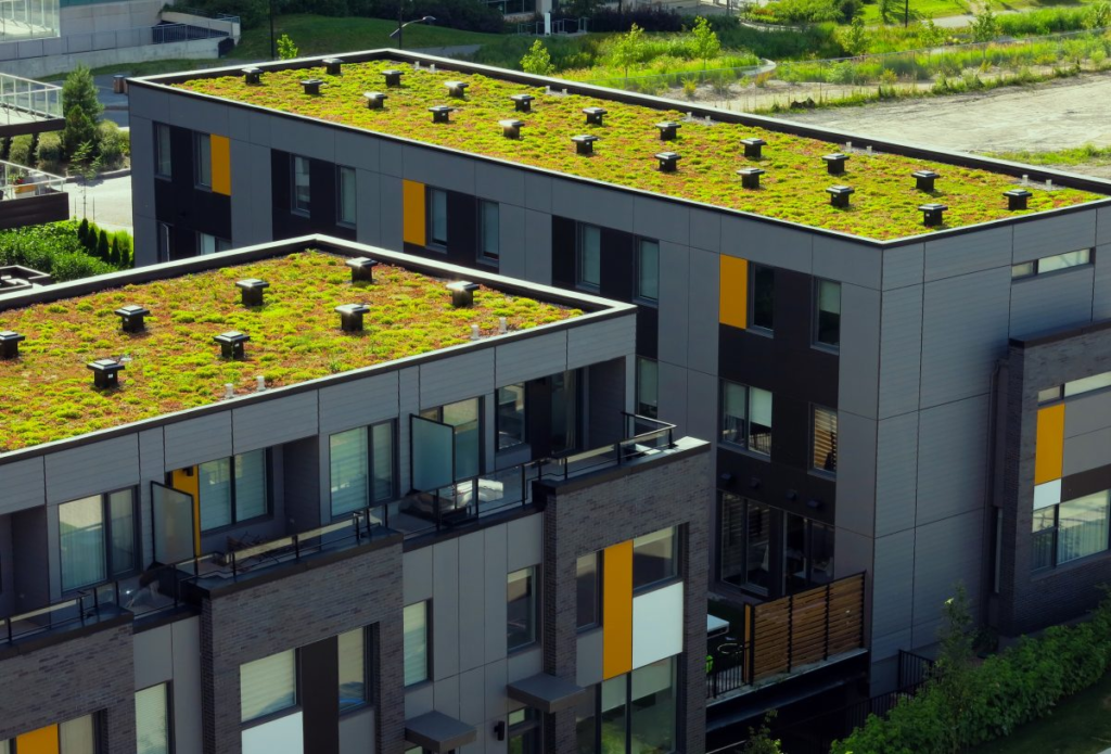 Green roofing solutions Kelowna , BC